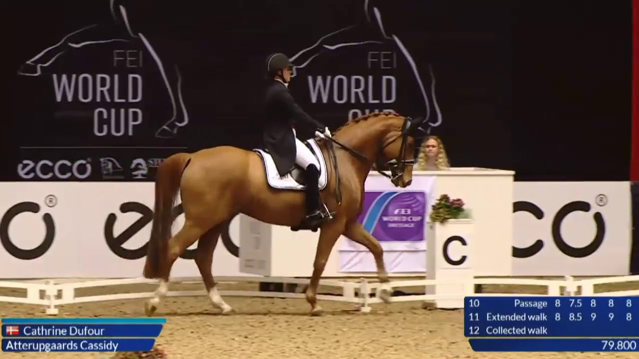 The 9 Collection! All of the 9 Scoring Movements at the World Cup Grand Prix Dressage in Denmark