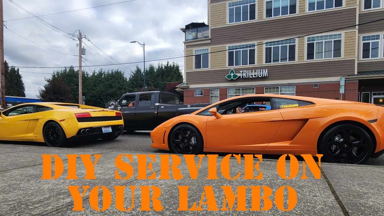 Lamborghini Gallardo Front & Rear  Differential oil change