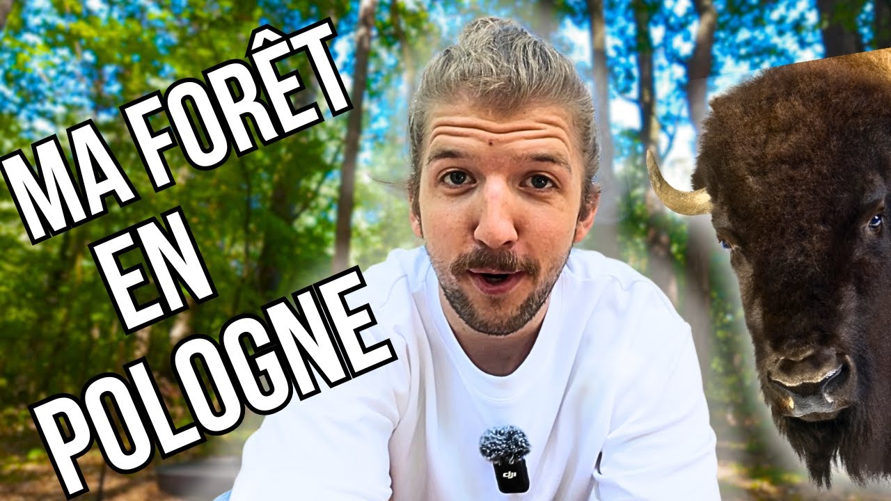J'ai ACHETÉ une FORÊT en POLOGNE ?? 🌲🛖 (Tiny House)