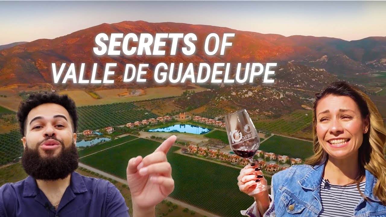 Mexico’s HIDDEN WINE COUNTRY | Valle de Guadalupe Baja California tour