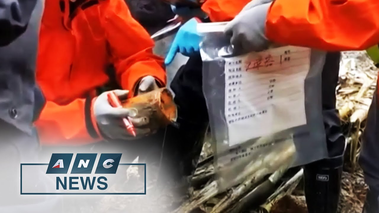 One black box found in China Eastern plane crash | ANC