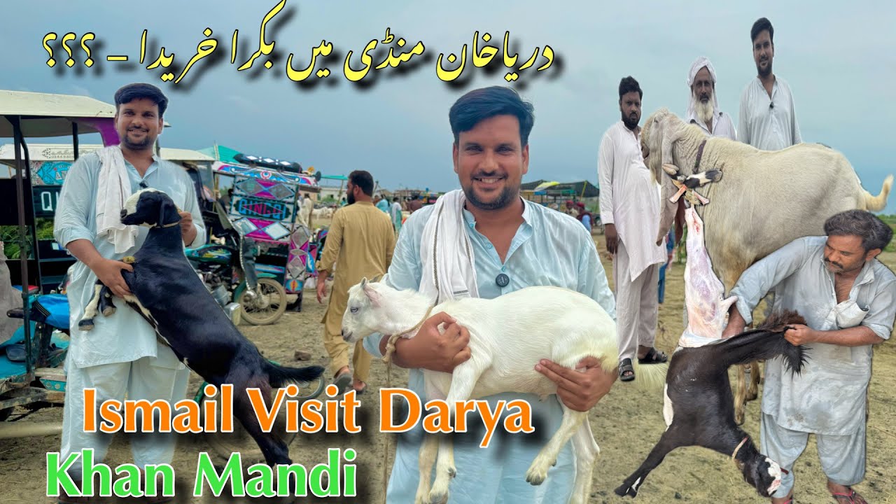 Today Ismail Jutt Visit darya khan Mandi