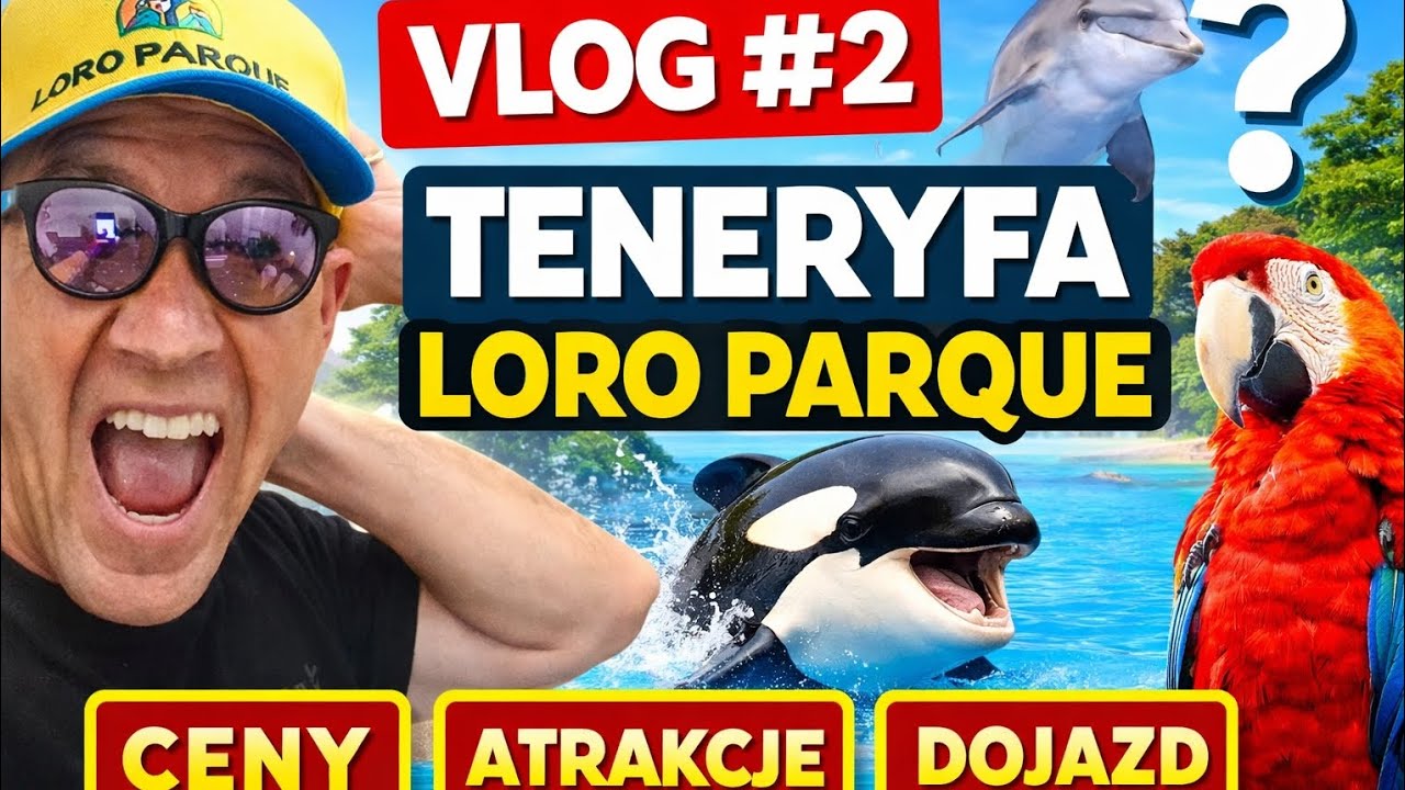 Teneryfa vlog #2 - Loro Parque 🦜 CENY, ATRAKCJE i DOJAZD z południa | Czy warto?