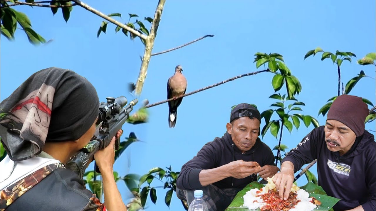 Berburu burung tekukur hasilnya langsung jadi masakan enak
