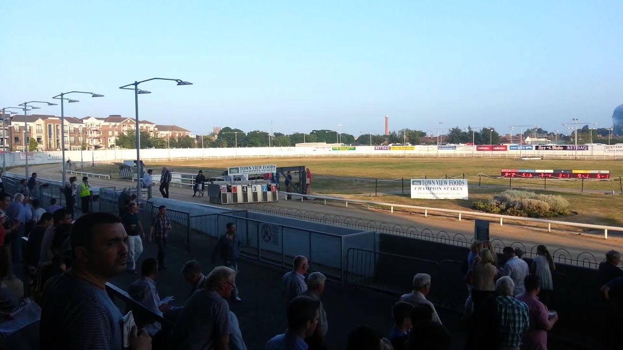 Greyhound Racing 20.07.2013