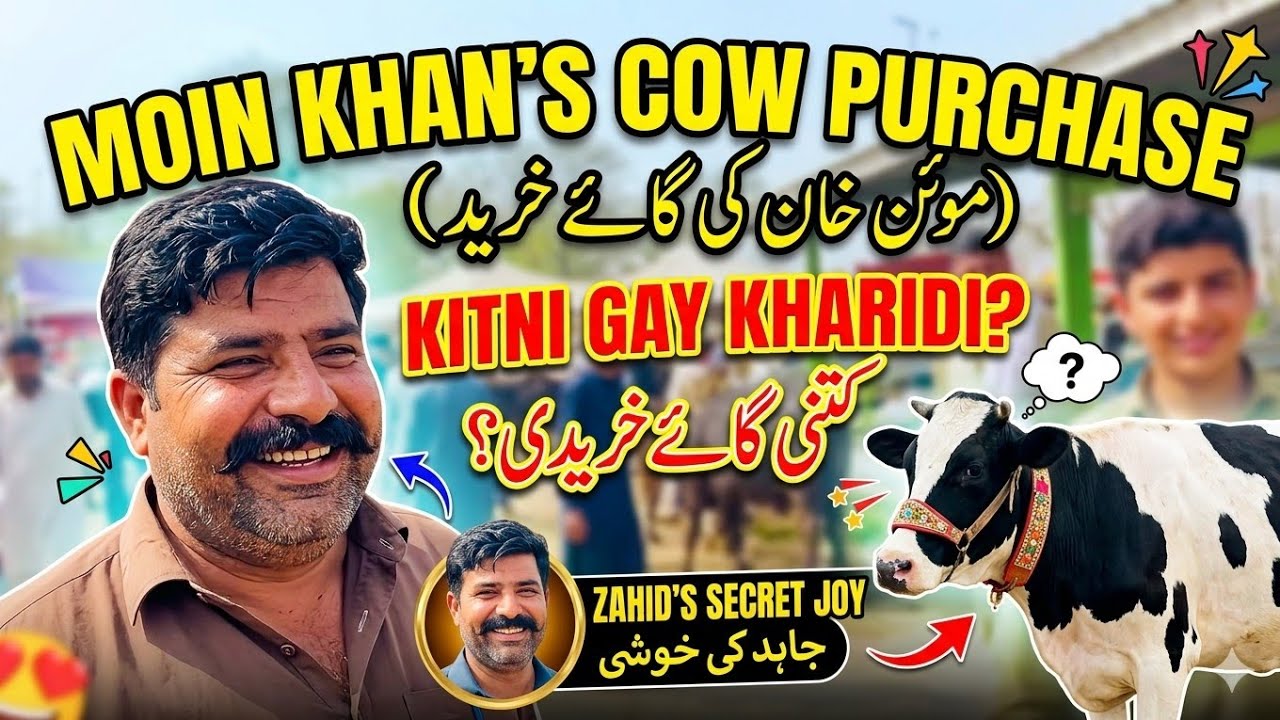 آج کی خریداری منڈی چیچہ وطنی#cow #animals #buffalo 
