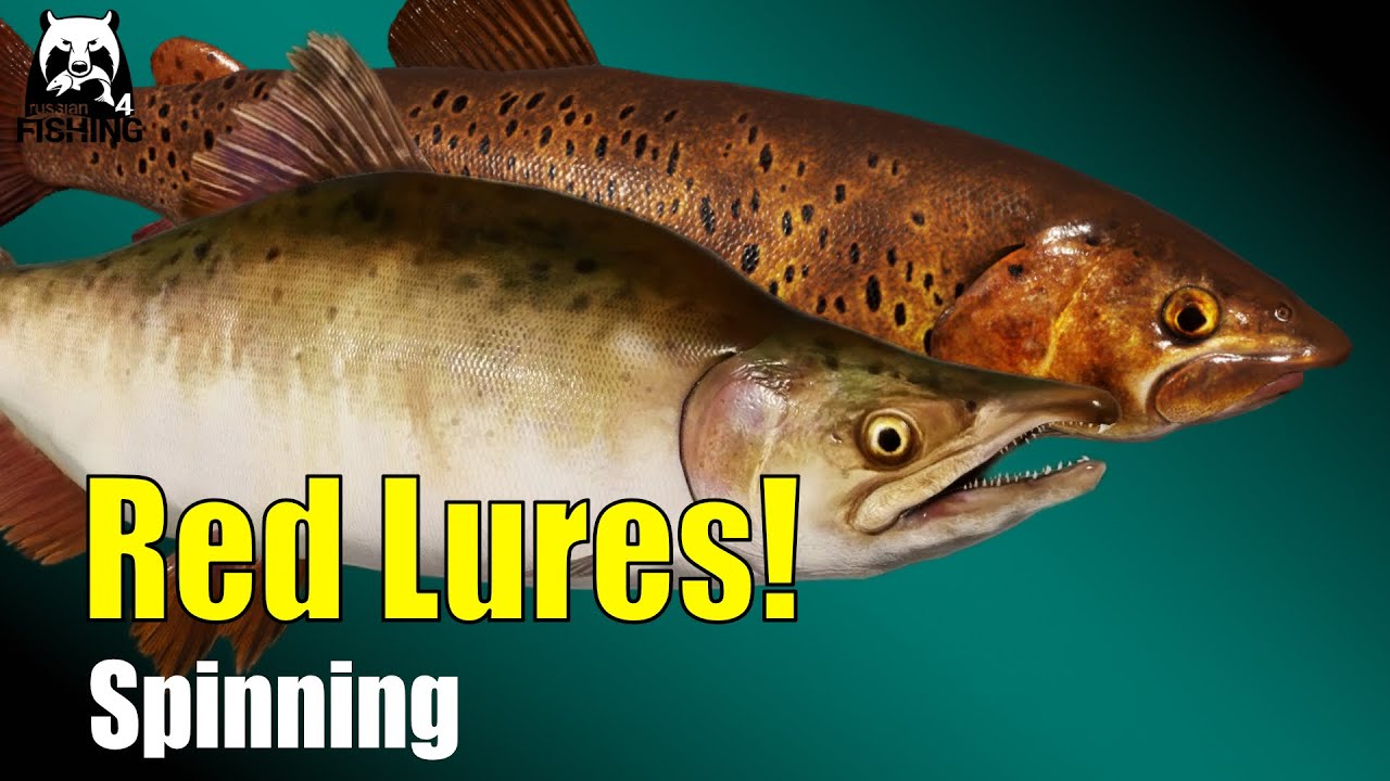 Russian Fishing 4 - Lower Tunguska River - Red lures! Lenok Pink Salmon and Grayling #rf4