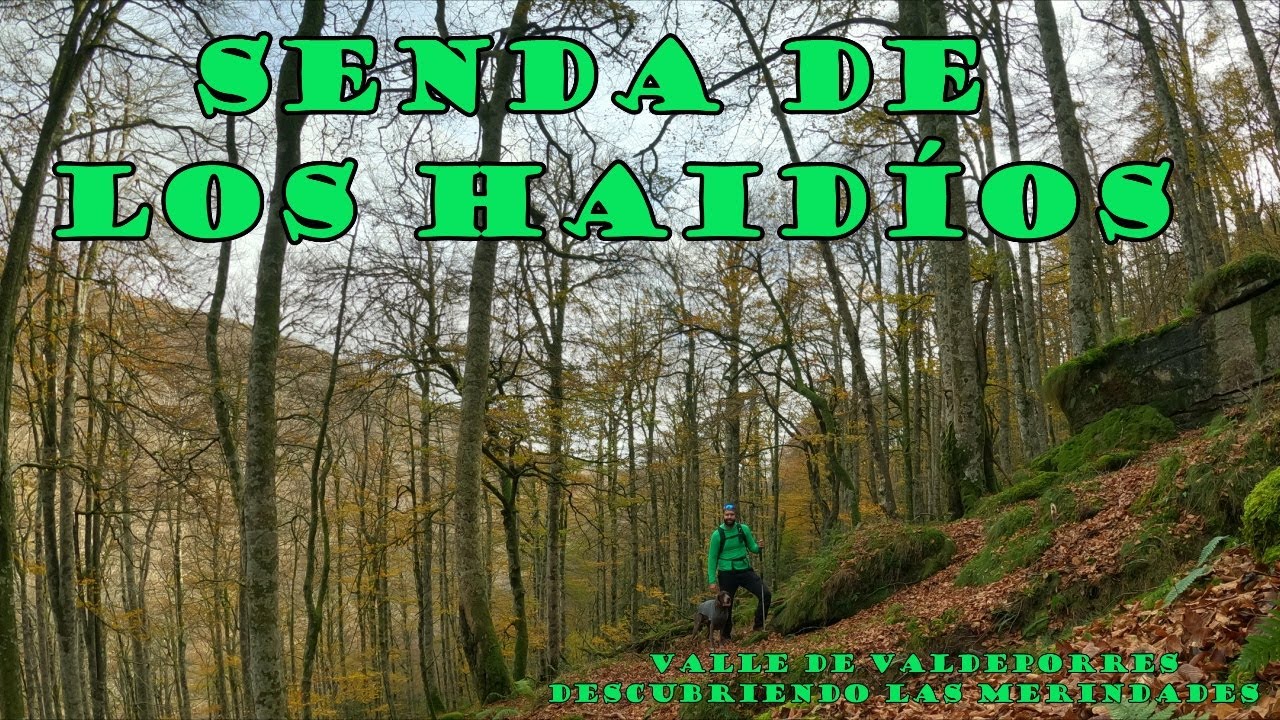 SENDA DE LOS HAIDIOS/LAS MERINDADES/ VALLE DE VALDEPORRES/ 4K/ PR BU 53