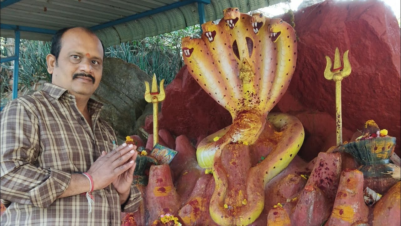 Naga Shakti ammavaru,Duvvada 
