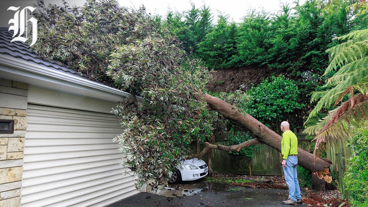 Wellington update: Wild weather lashes the region; flights cancelled | Herald NOW