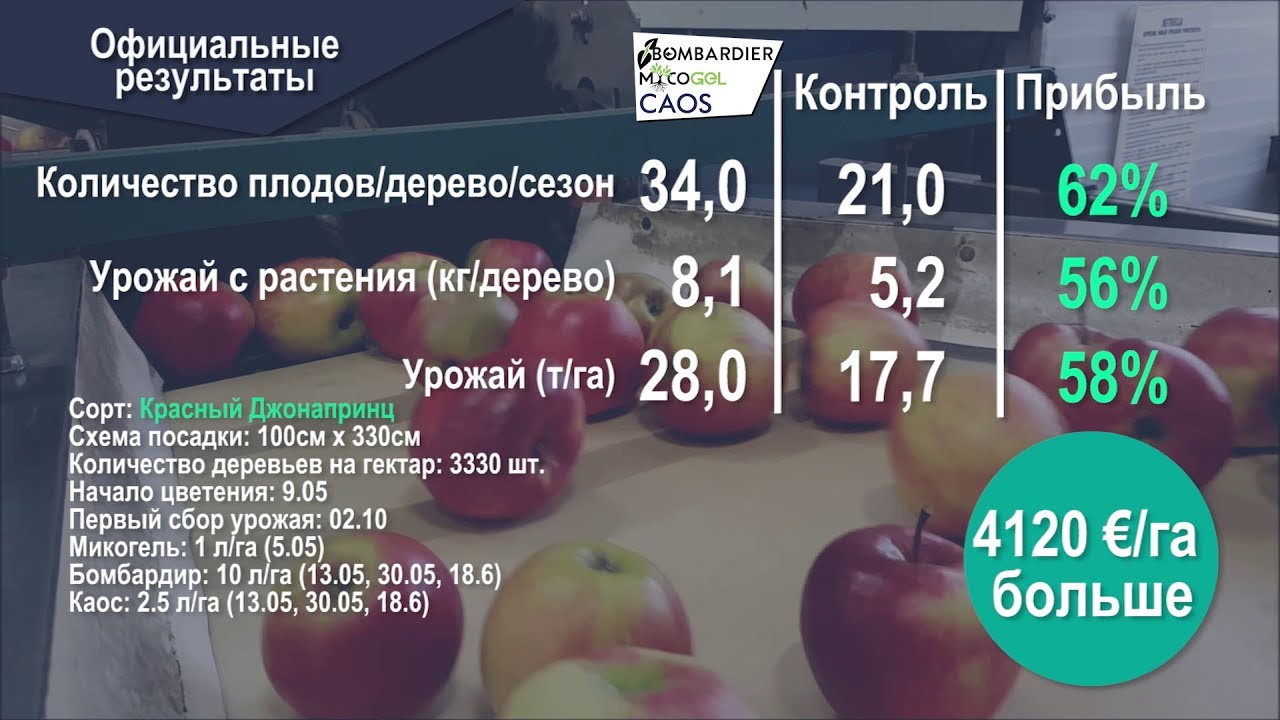BOMBARDIER - MYCOGEL - CAOS | ЯБЛОНЯ - Agrocode Bioscience