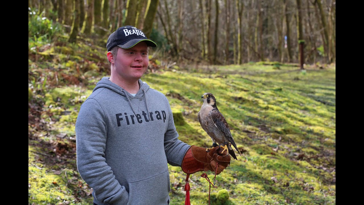 Oliver at the Loch Lomond Bird of Prey Centre - Part 1