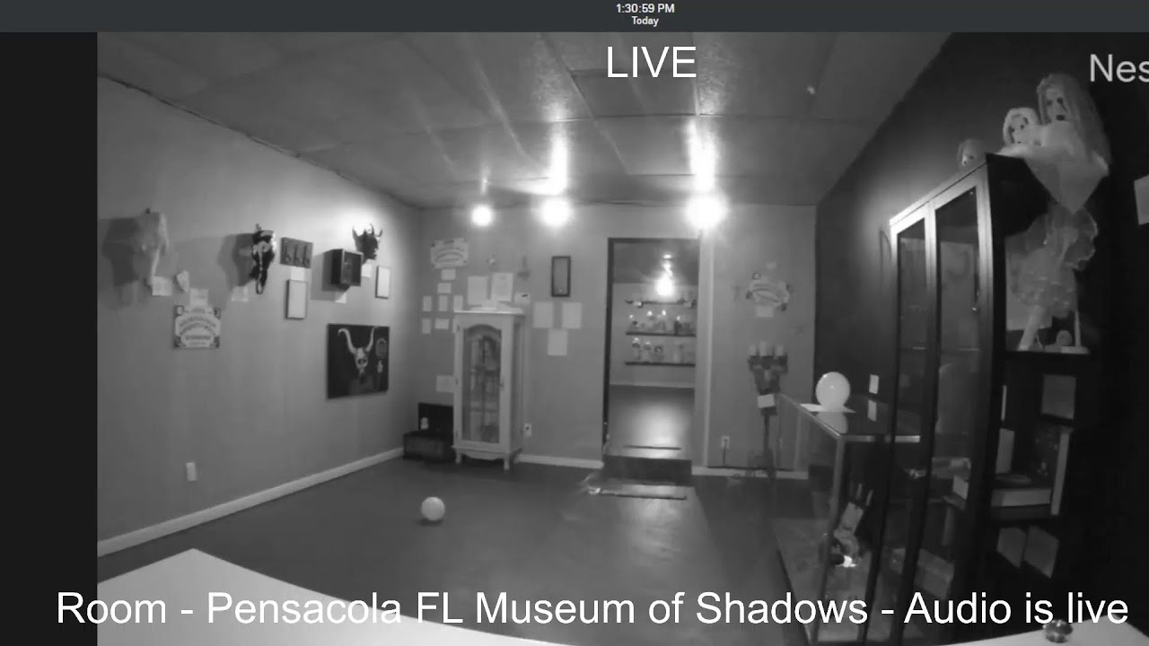 Museum of Shadows - Live Ghost Cam