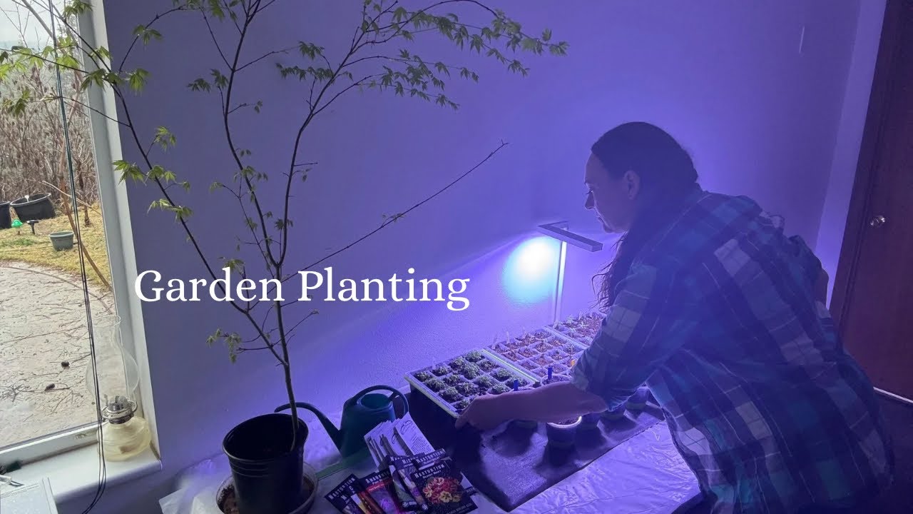 New Seeds-Garden Updates-Planting Medicinal Plants & Baking Flower cookies