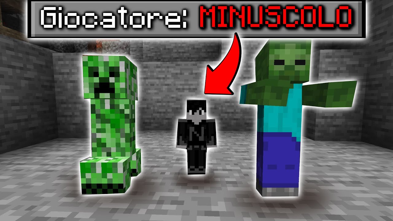Minecraft, ma SONO MINUSCOLO...