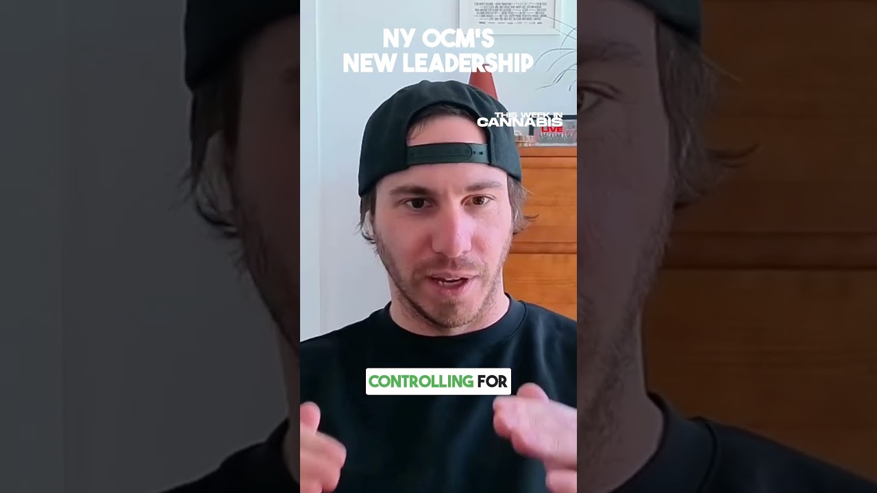 New York Cannabis Just Made a Smart Leadership Move | Jeremy Berke, Cultivated