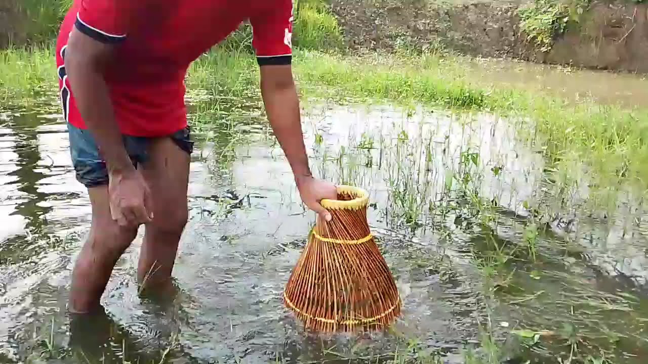 New fishing vlog today Best working my channel