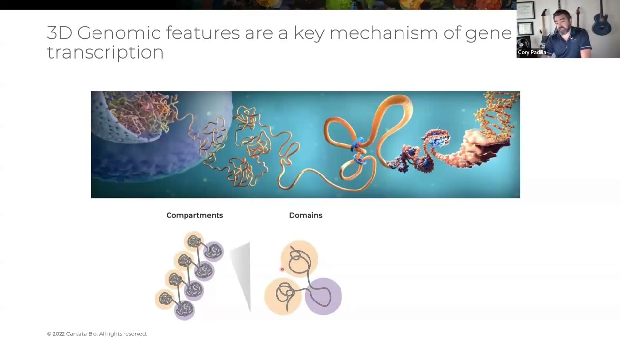 3D Genomics: Transforming Oncology Research