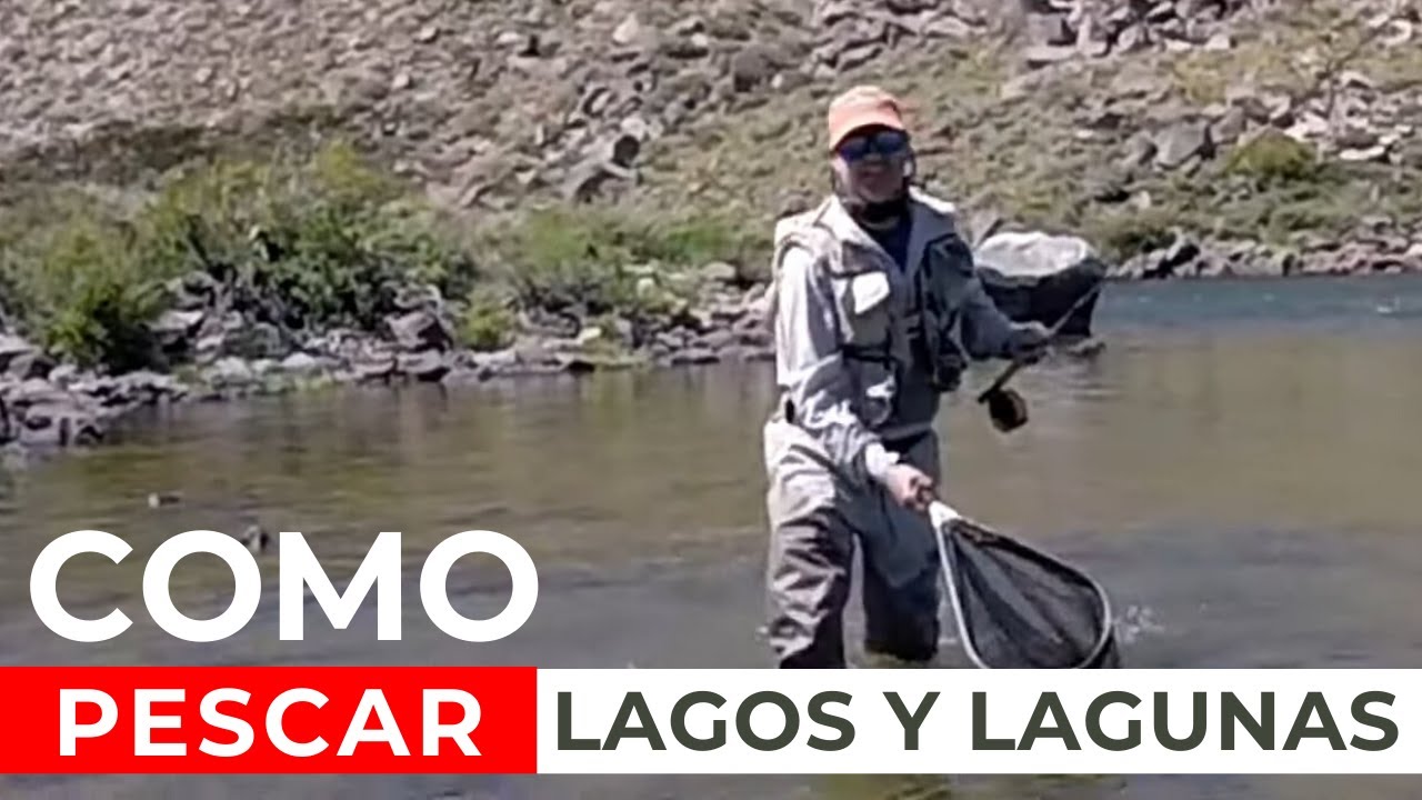 COMO SE PESCA EN LAGOS, 🏆 (MIRA EL V&Iacute;DEO) 🎣🐟 PESCANDO LAGOS, LAGUNAS Y EMBALSES (COMO PECAR)