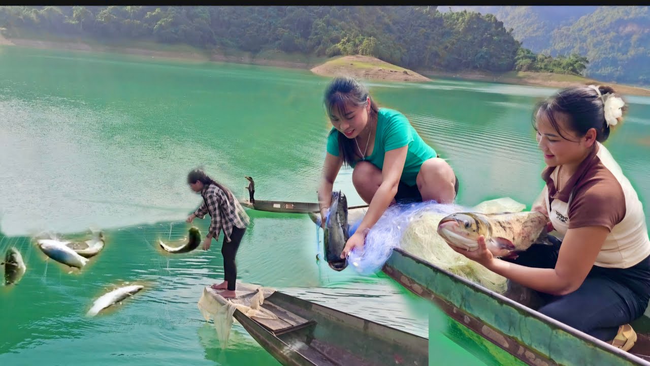 Luyen Mai sisters cast 400m of net overnight on the lake and caught a huge catch of silver carp!