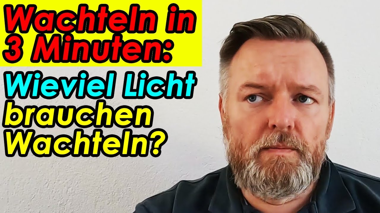 Wieviel Licht brauchen Wachteln? 
