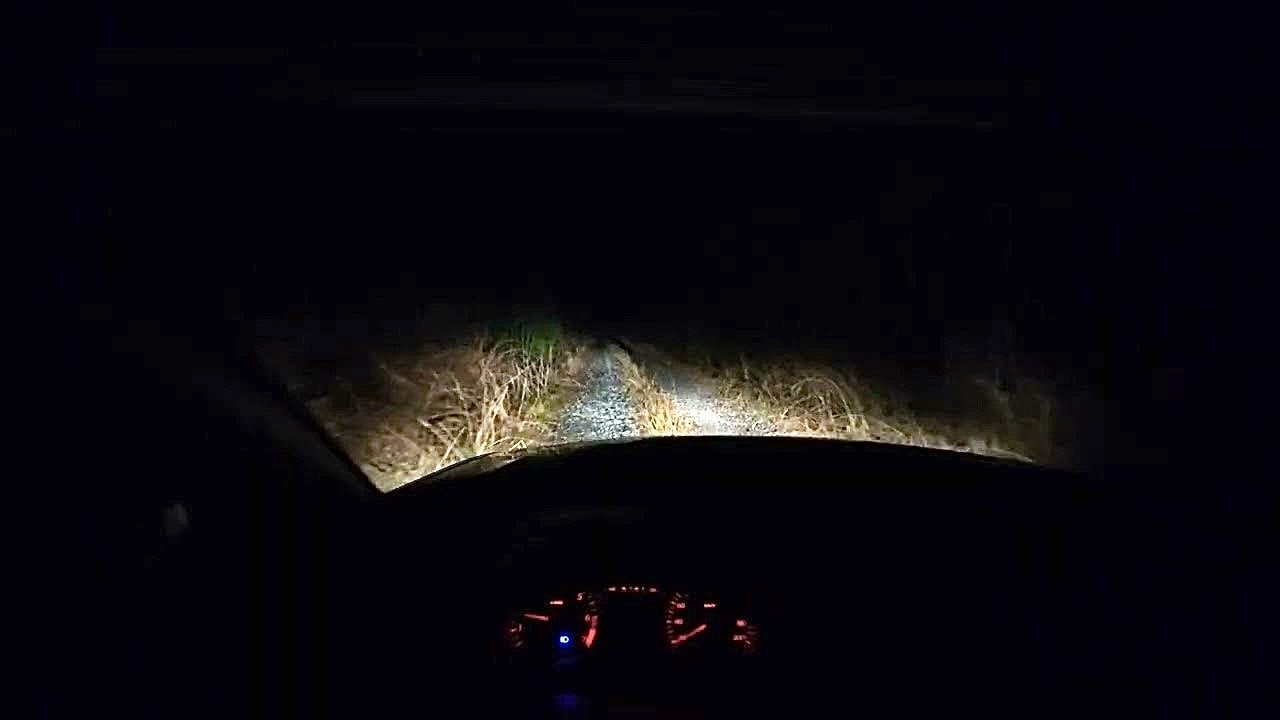 Driving around the forest reservoir