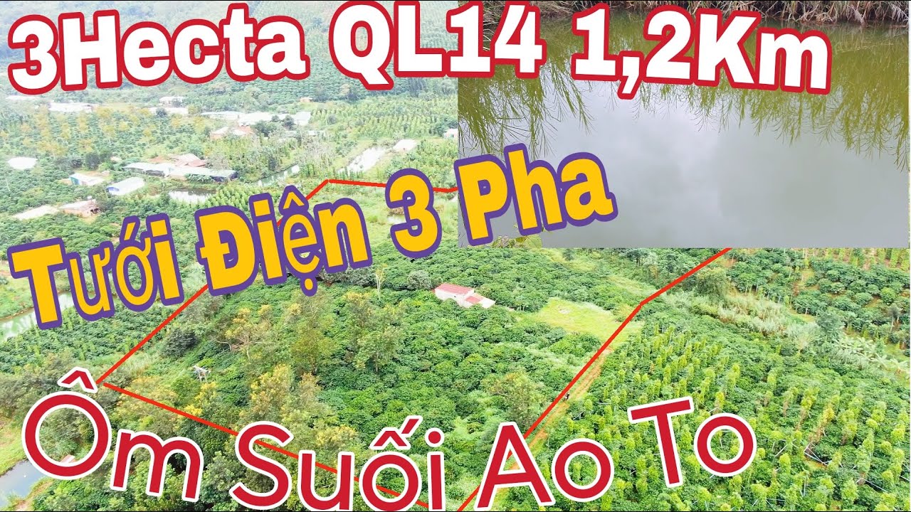 ÔM SUỐI 3Ha GẦN QL14 THOẢI ĐẸP KÍN CAFE Thu hoạch, đất đỏ bazan.Xã Nâm Njang Đắk Song Đắk Nông 2,1Tỷ