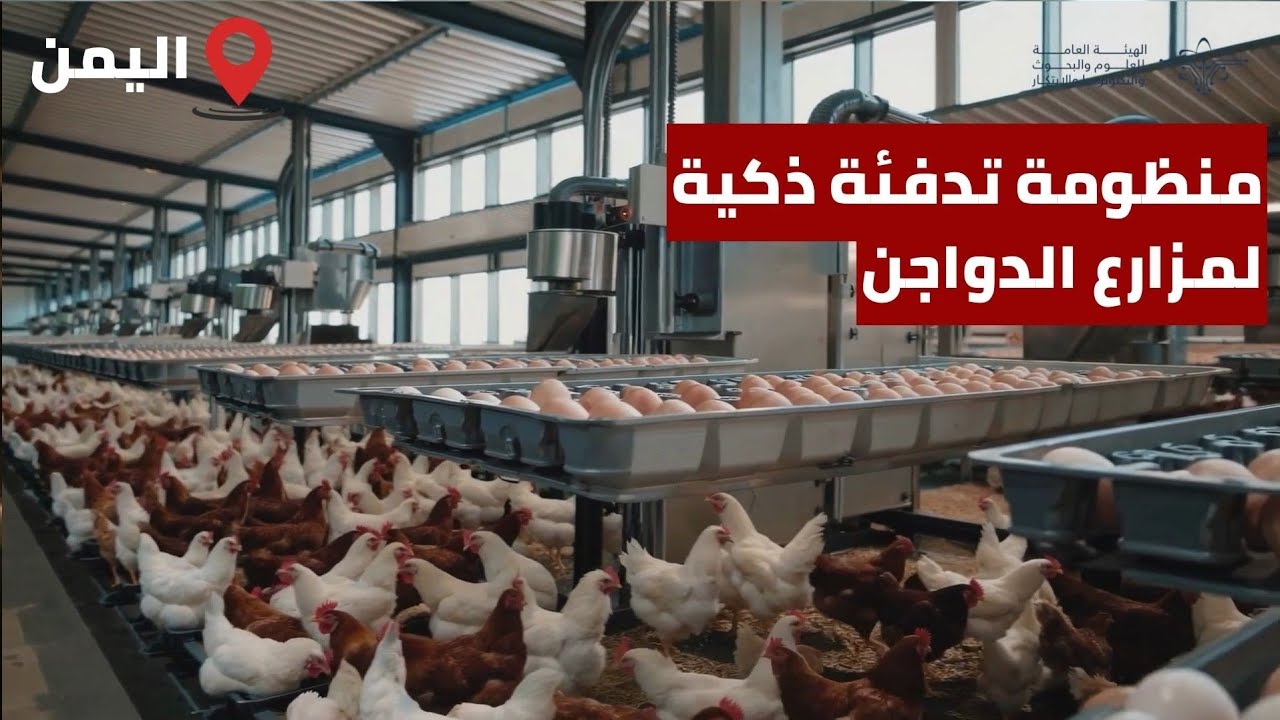 اختراع يمني | منظومة تدفئة ذكية لمزارع الدواجن والمحميات الزراعية