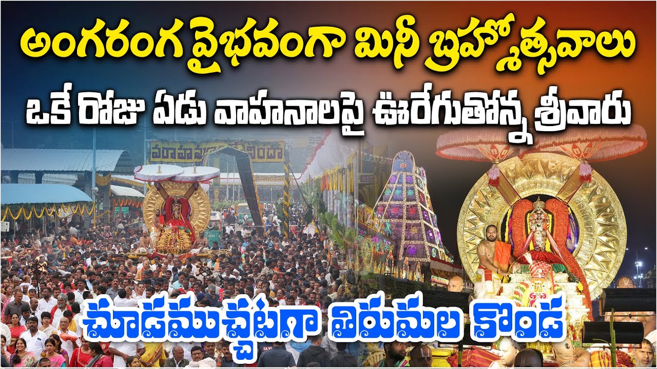 Tirumala Ratha Saptami 2026 Celebrations | Sri Malayappa Swamy Temple Grand Festival & Procession