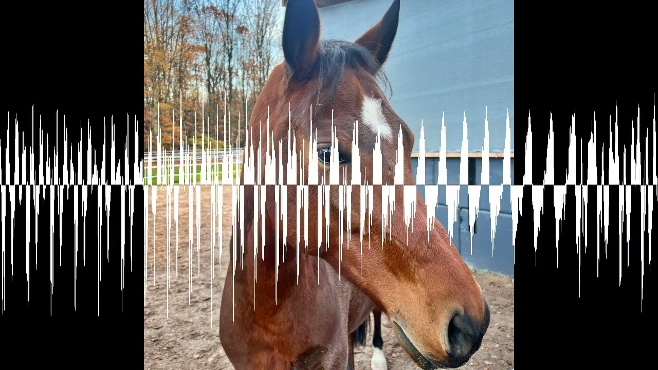 #394 Dieser Trick hilft gegen den Herbstblues im Pferdestall - Der Pferdepodcast