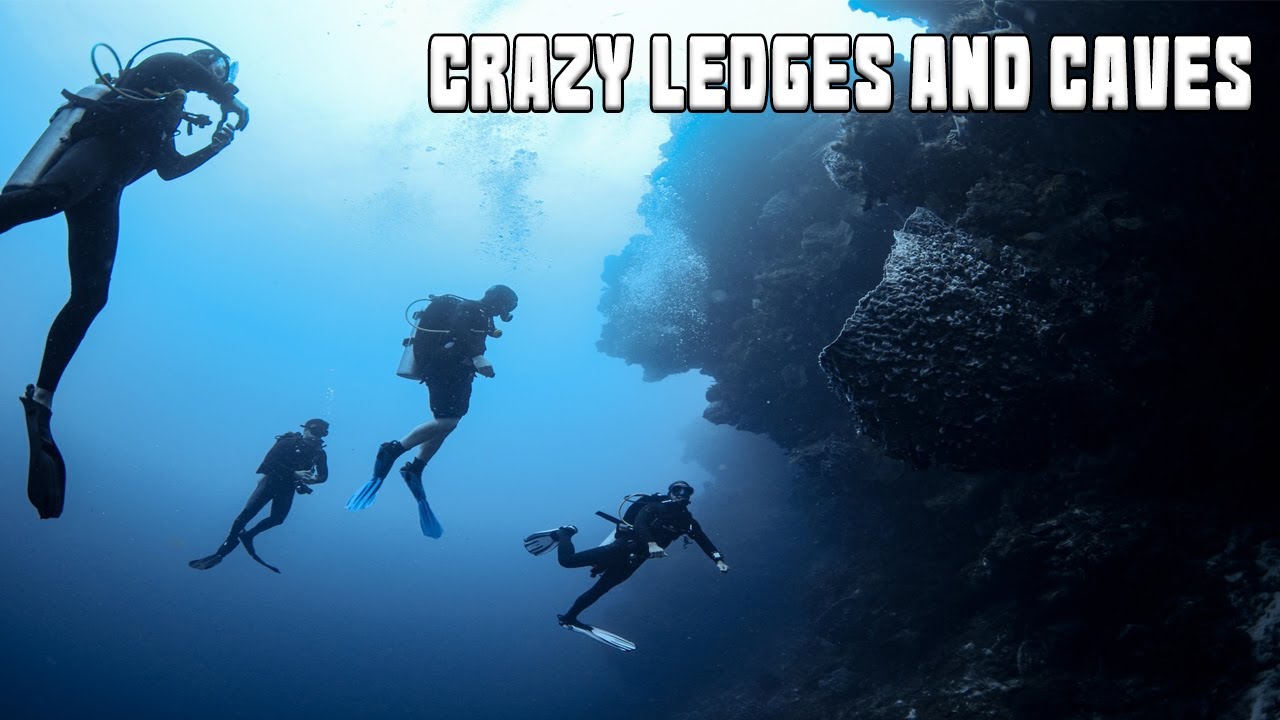 INSANE DROP OFF LEDGES AND CAVE DIVES in Cozumel
