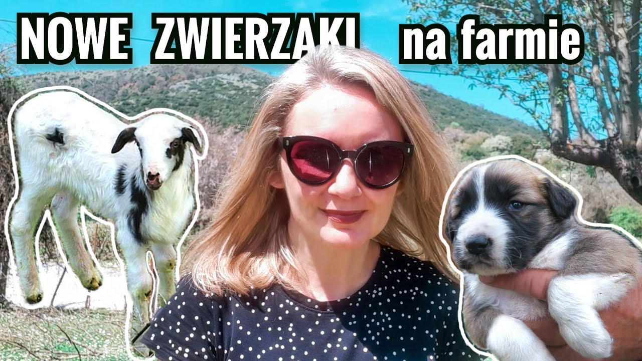 Zwierzaki zdominowały Vloga  🇬🇷 odc.121