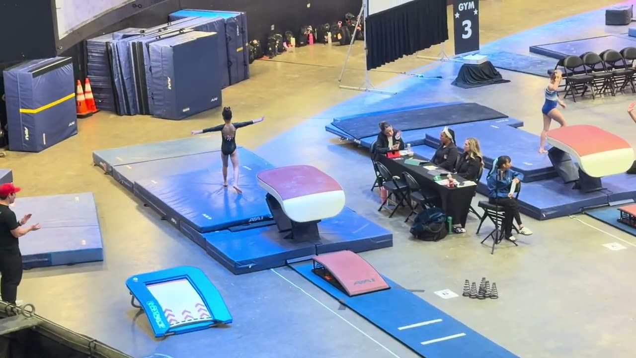 Level 4 vault 9.55 1st place 🥇 