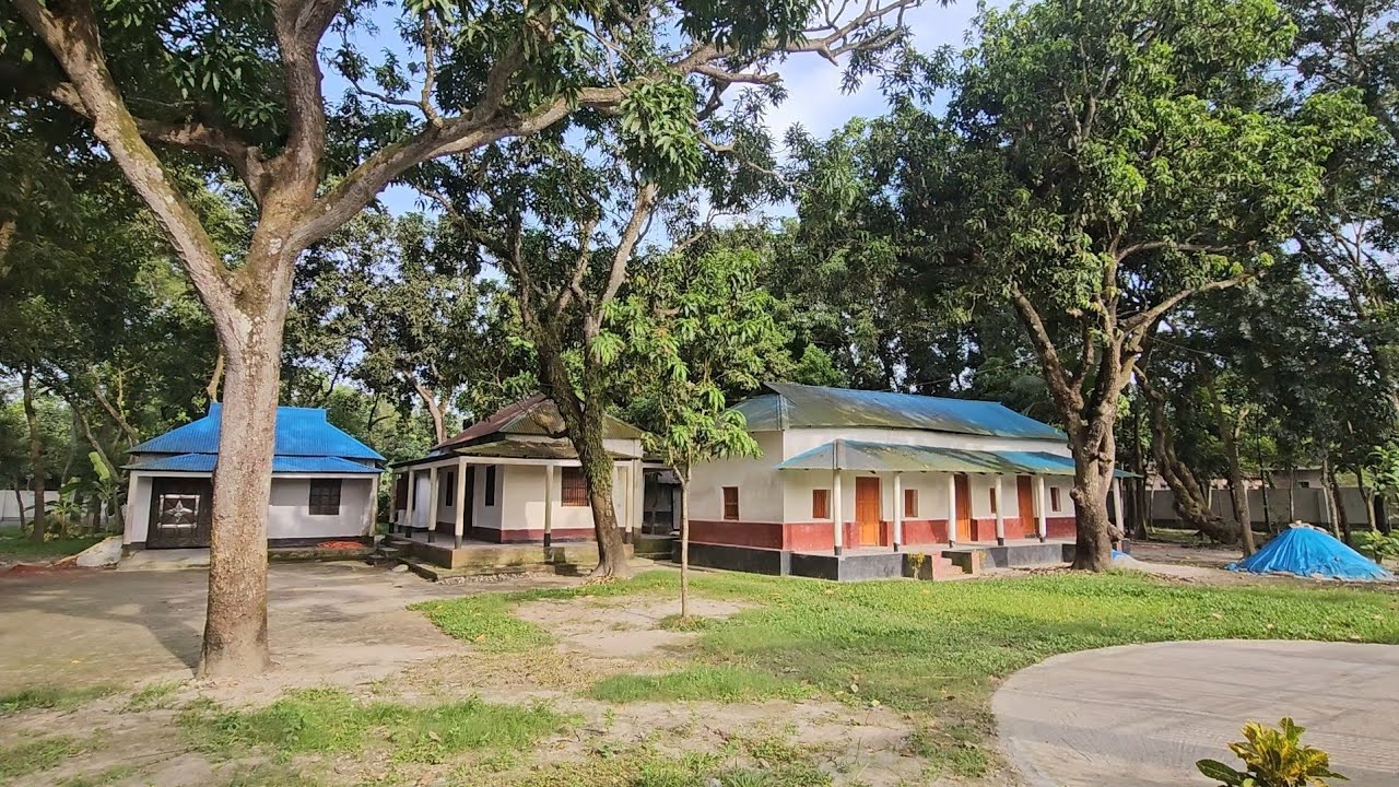 নরসিংদী পলাশ উপজেলার সুন্দর একটা ইউনিয়ন জিনারদী | অপূর্ব সুন্দর গ্রাম | Beautiful Village Vlog 😍