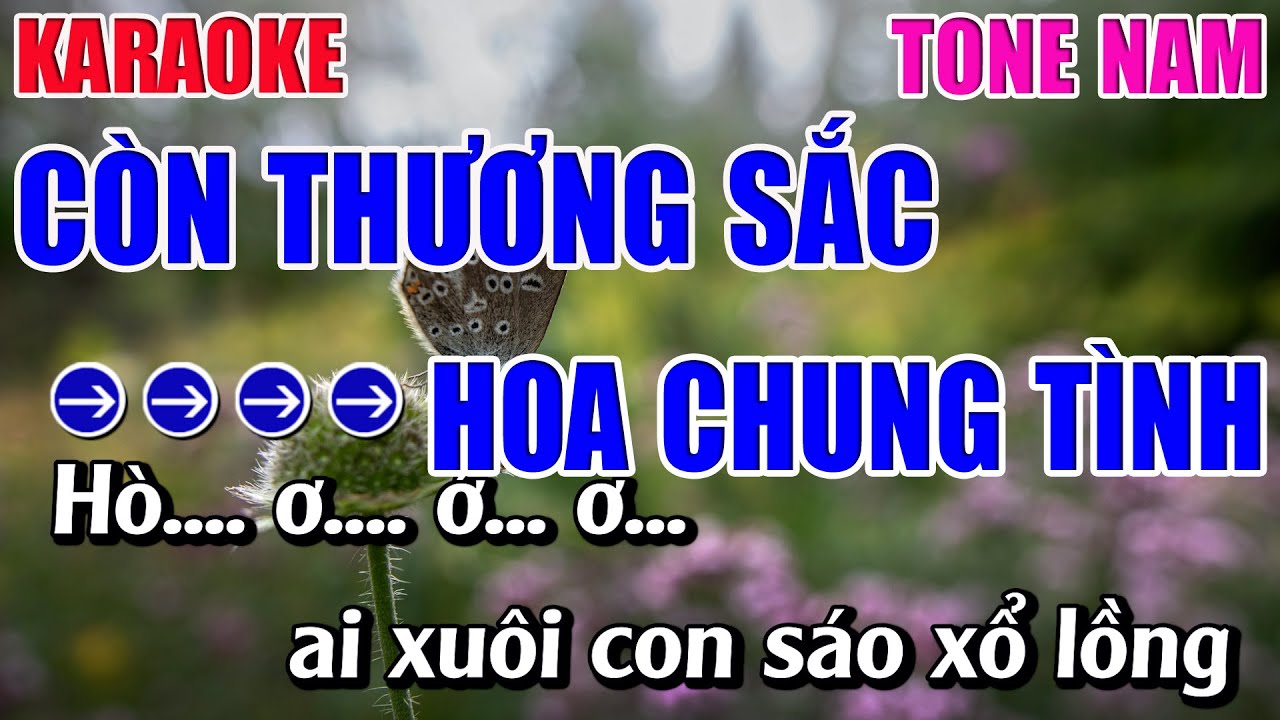 Còn Thương Sắc Hoa Chung Tình Karaoke Tone Nam ( A#m ) Karaoke 9999 - Ngâm Thơ