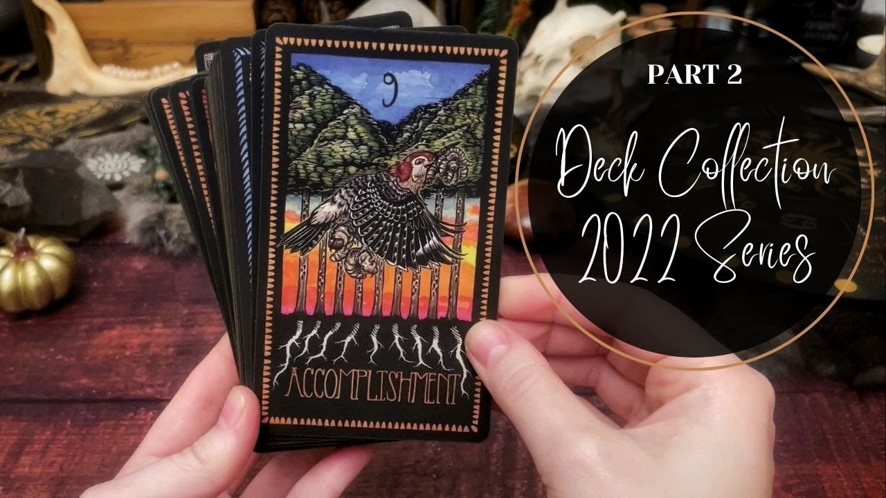 Animal only tarot decks, people not advised // Deck Collection Series 2022