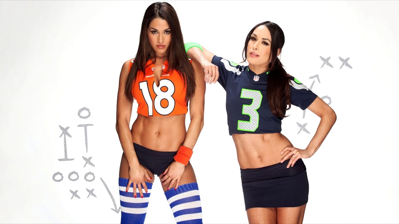 WWE The Bella Twins - You Can Look But You Can't Touch (Instrumental Cover)
