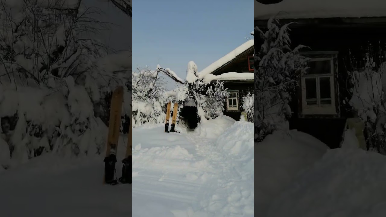 Москвичам только индусов не хватало)) 