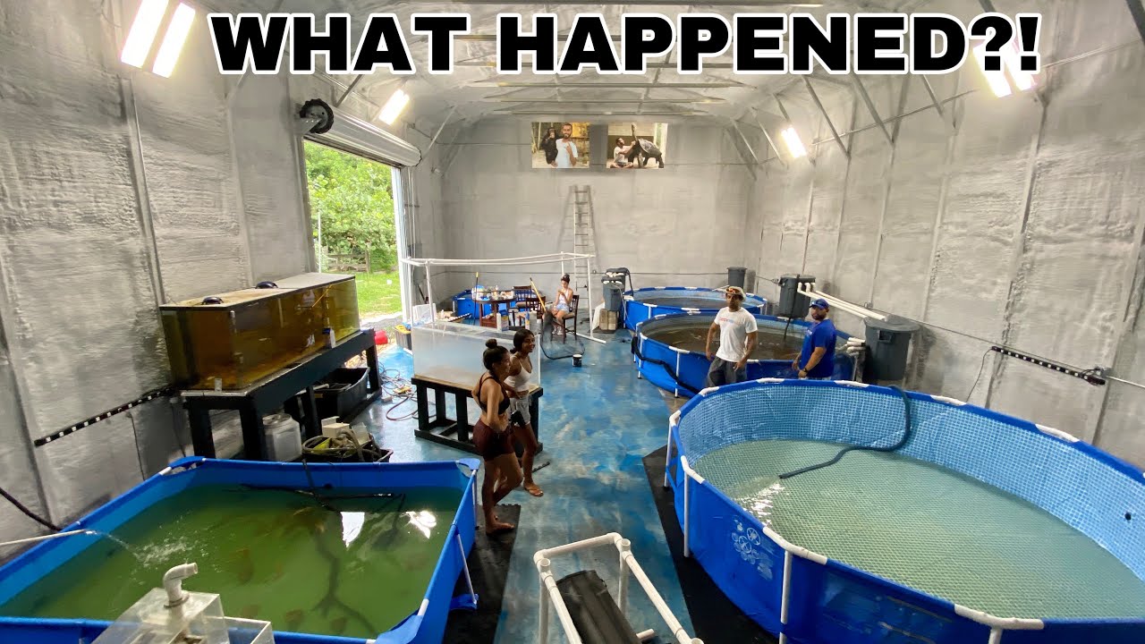 Moving ALL My FISH In The BUILDING!