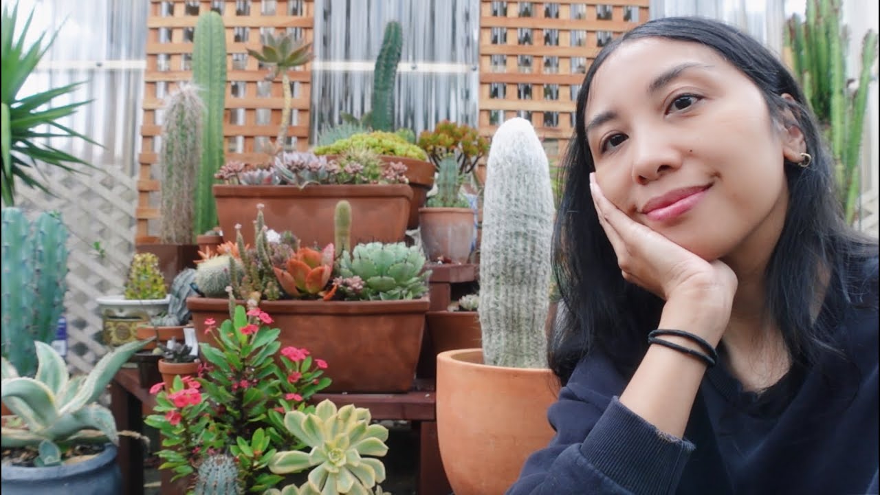 Succulent/Cacti Tour & Planty Chores: Checking in with the potted plants and arrangements 🌵🌸