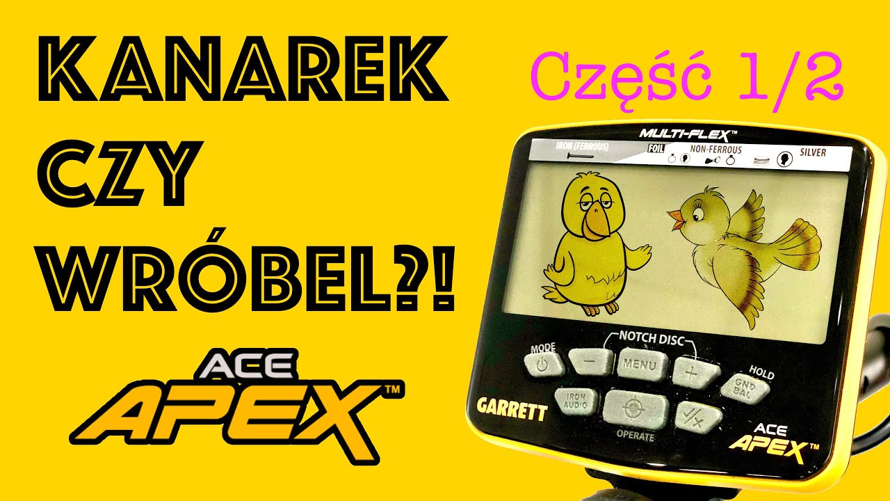 Garrett APEX Kanarek czy Wróbel cz.1 ?!