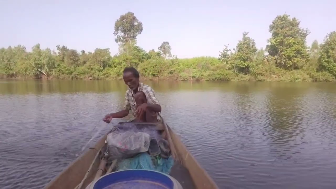 หลังฝนตกปลาผ่ายหายาก