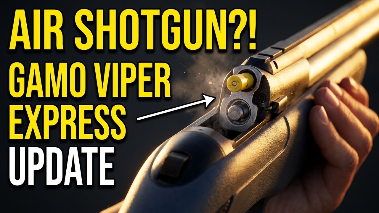 Gamo Viper Express — обновление 2020 года