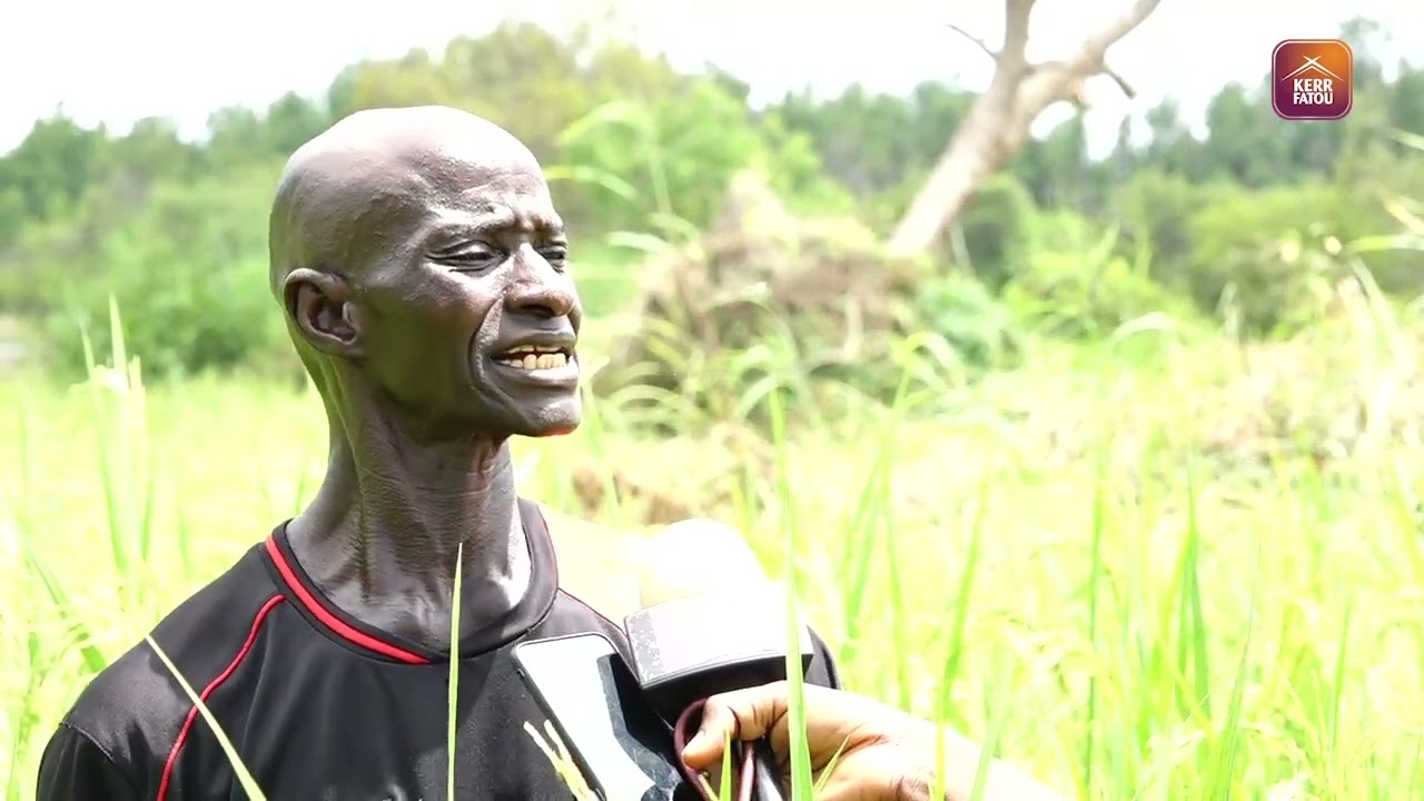 Re-imagine farming- North Bank Farmers Association collaborates with the community of JALABA Village