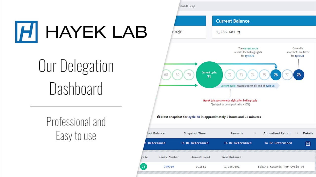 Hayek Lab's Tezos Delegation Dashboard