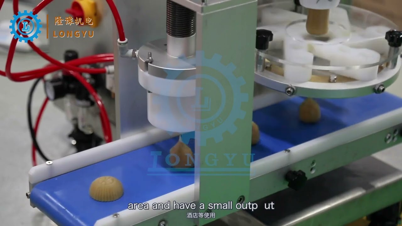 Longyu food machine introduce