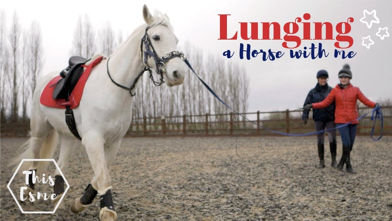 Vlog | Lunging a Horse with me Lesson | Challenge Award | This Esme