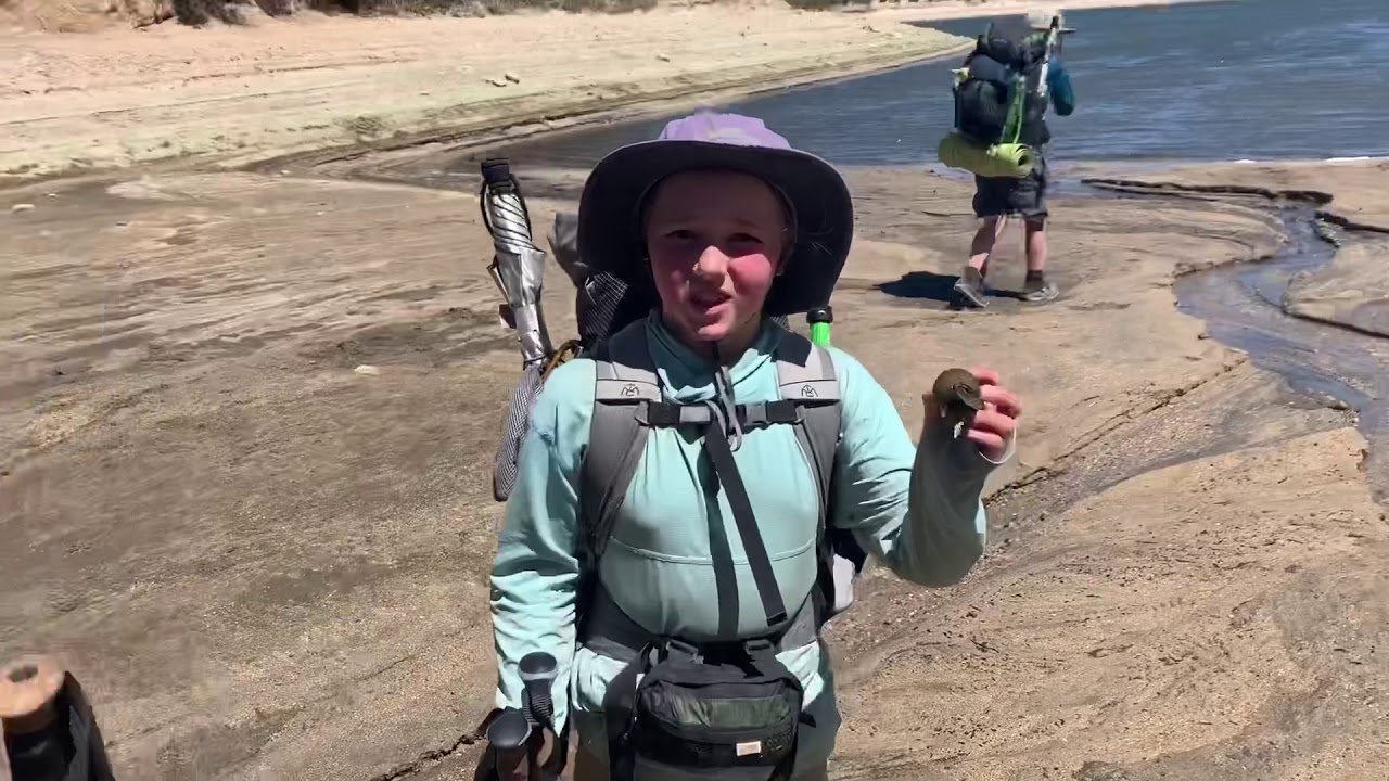 Kids Out Wild! Trail Log Video #3