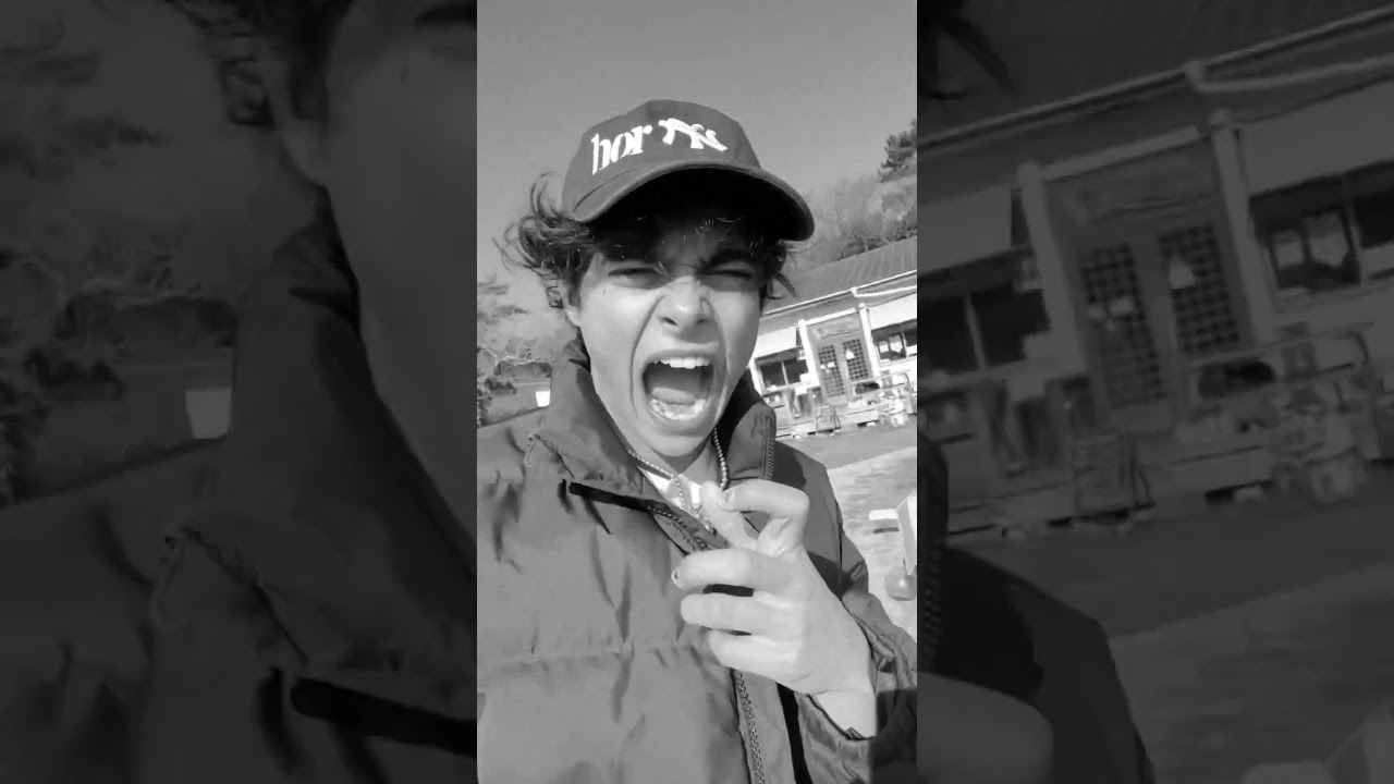 i can’t stand cats…