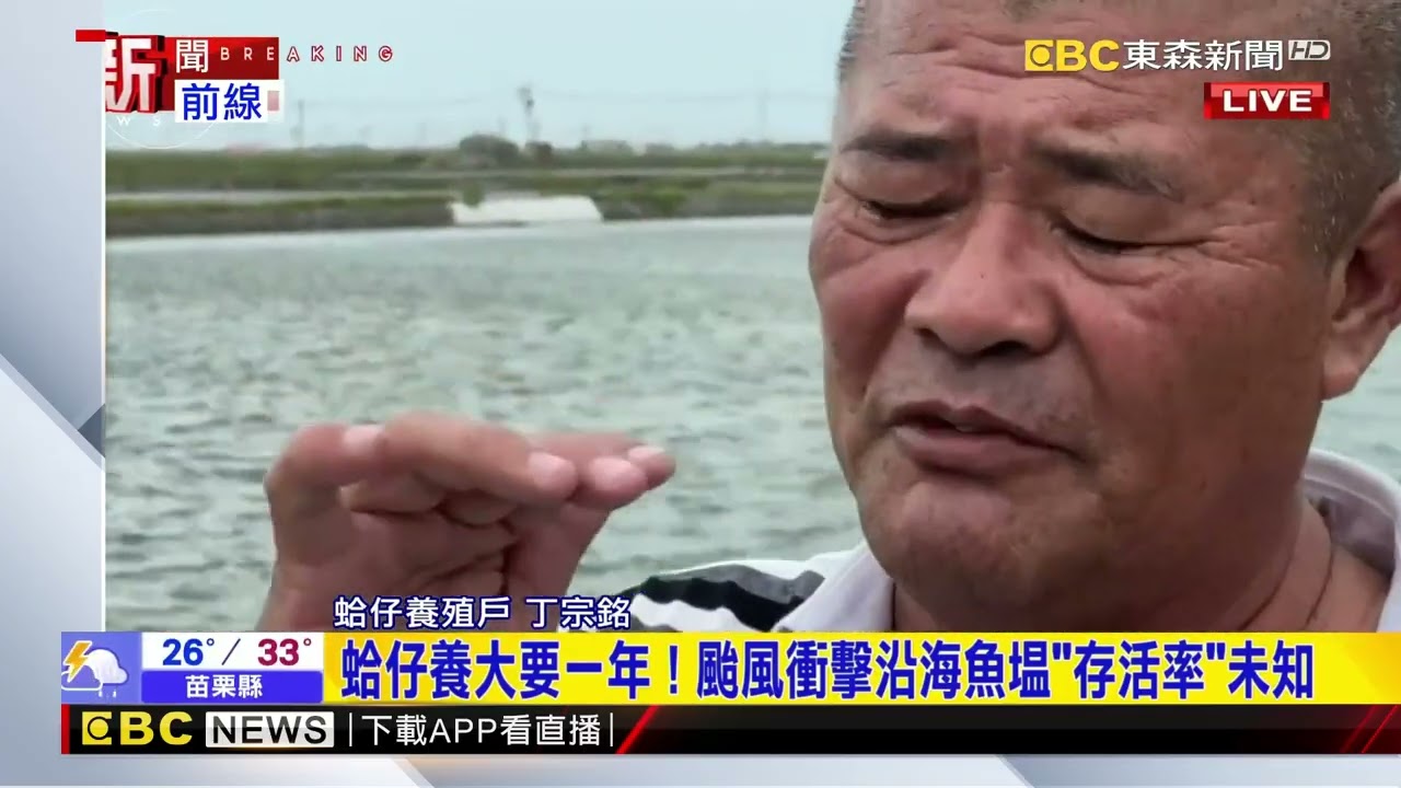 【凱米颱風】最新》颱風吹垮外海蚵棚 雲林台西五條港農民損失慘重@newsebc